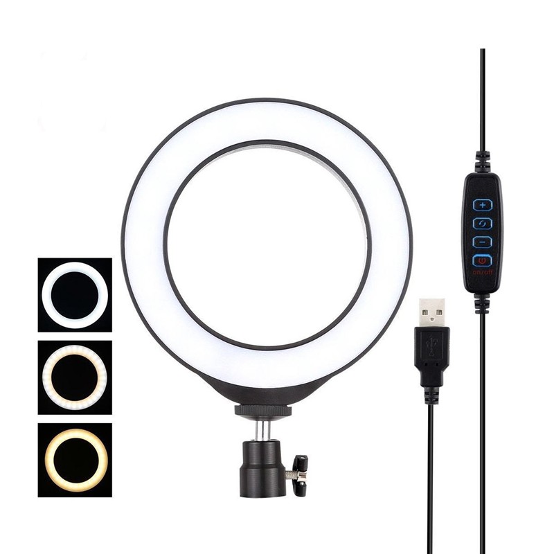 Maya LED Halo Light 6
