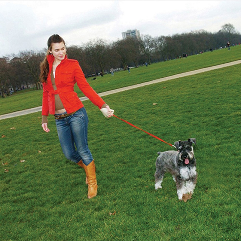 1.1M Dog Leash 19mm