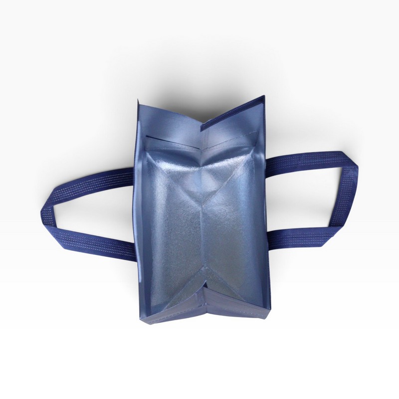 8L Insulated Reusable Bag
