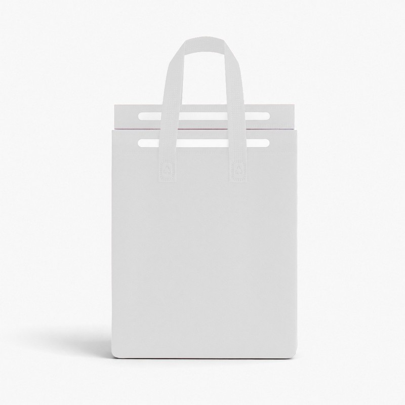 13L Insulated Reusable Bag