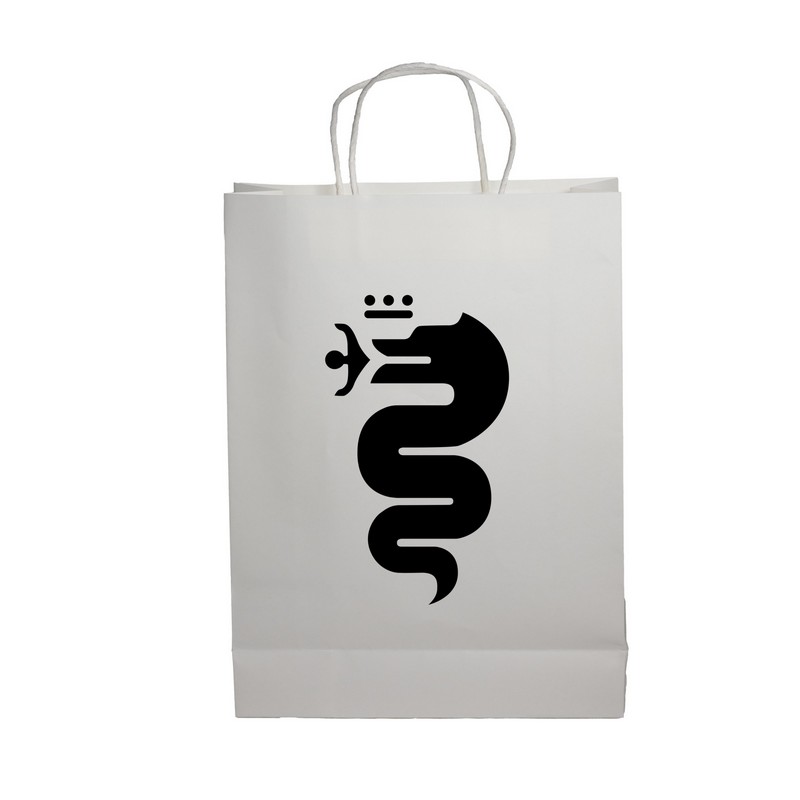 Paper Show Bag